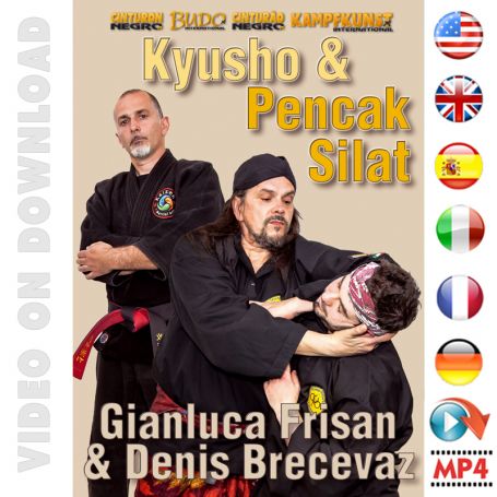 Kyusho & Pencak Silat