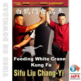 Feeding White Crane Kung Fu