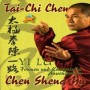 TAI CHI CHEN - YI LU FORMEN UND KRIEGERISCHE ANWENDUNGE