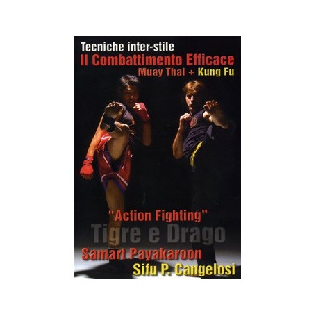 ACTION FIGHTING. TIGRE E DRAGO