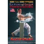 La potenza del Combat Taekwondo