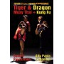 Kung Fu - Muay Thai Drachen und Tiger