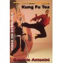 Kung Fu Toa Formas y aplicaciones Vol 2
