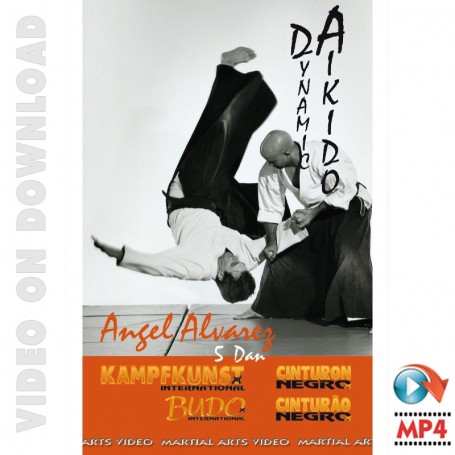 Dynamische Aikido