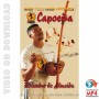Capoeira Banzo de Senzala