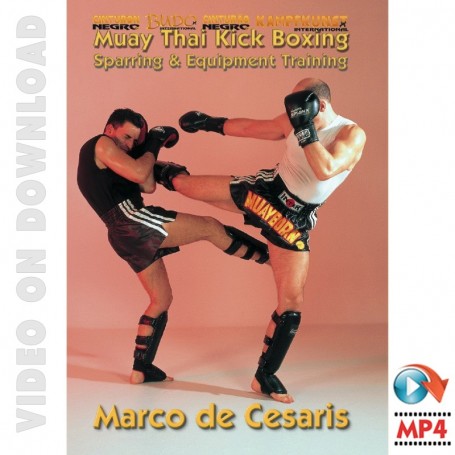 Muay Thai Kick Boxing Sparring