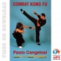 Combat Kung Fu Free Style