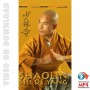 Shaolin Kung-Fu. Shi De Yang Interview
