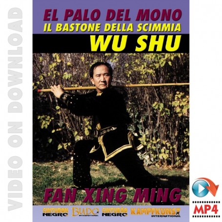 Wu Shu Hou Kun El Palo del Mono