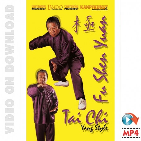 Tai Chi Yang Style Vol 2