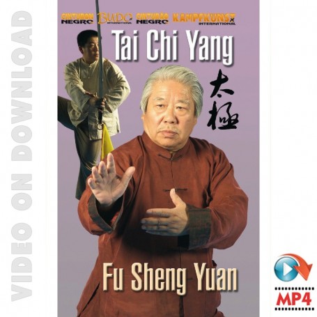 Tai Chi Yang Style Vol 3