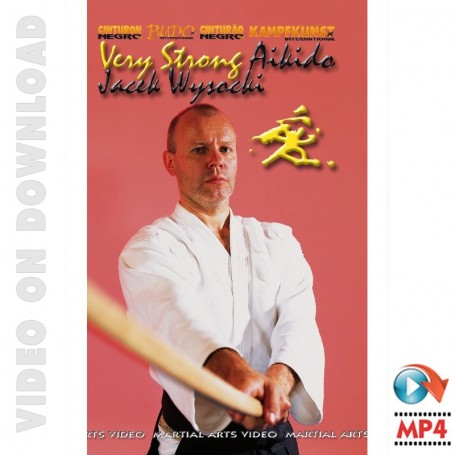 Sehr starke Aikido Kobayashi Ryu