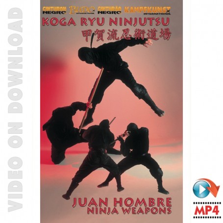 Koga Ryu Ninjutsu Armas