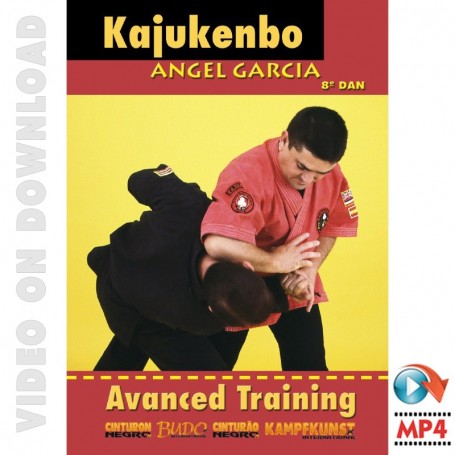 Kajukenbo Vol 3