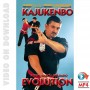 Kajukenbo Evolution
