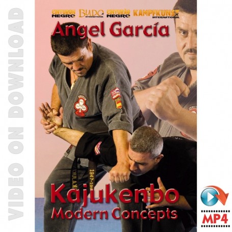 Kajukenbo Moderne Konzepte