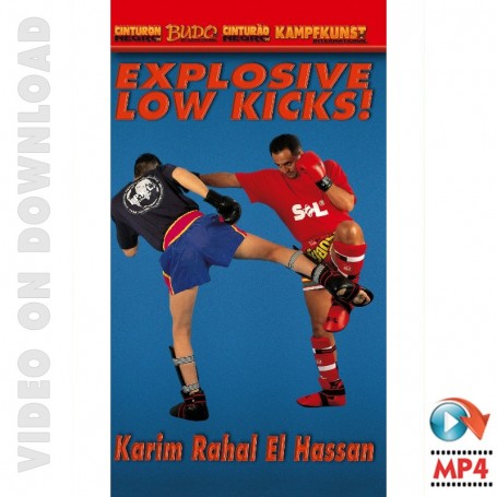 Kickboxen Explosive niedrige Kicks