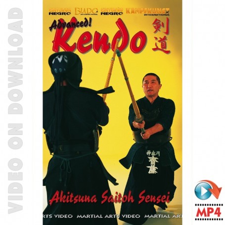 Advanced Kendo