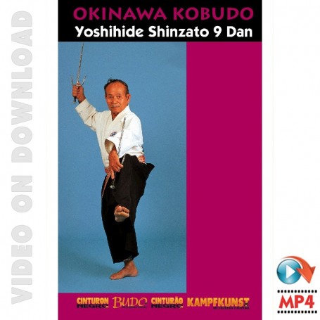 Okinawa Kobudo