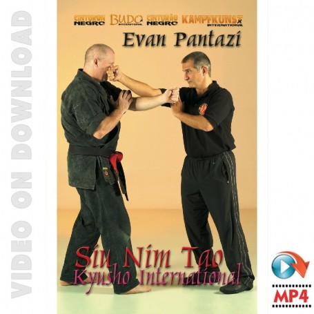 Kyusho Jitsu in Forms Siu Nim Tao