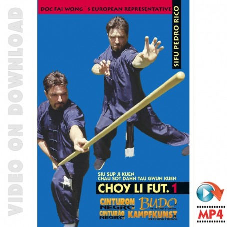 Kung Fu Choy Li Fut Forms