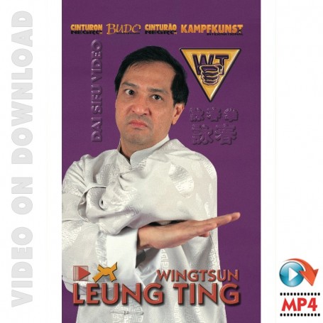 WingTsun Correcto o Incorrecto?