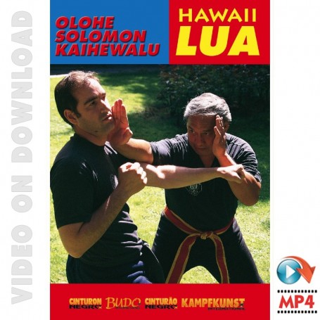 Hawaianische Lua