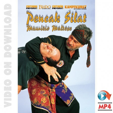 Pencak Silat