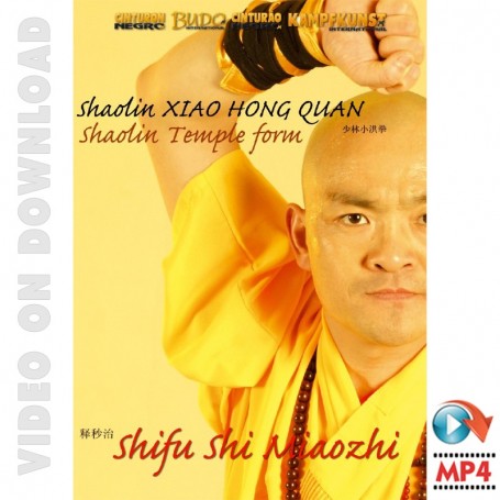 Shaolin Xiao Hong Quan Form Tao Lu