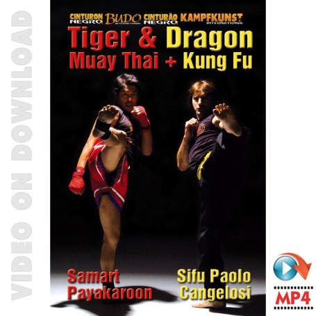 Kung Fu - Muay Thai Drachen und Tiger