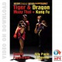 Kung Fu - Muay Thai Drachen und Tiger