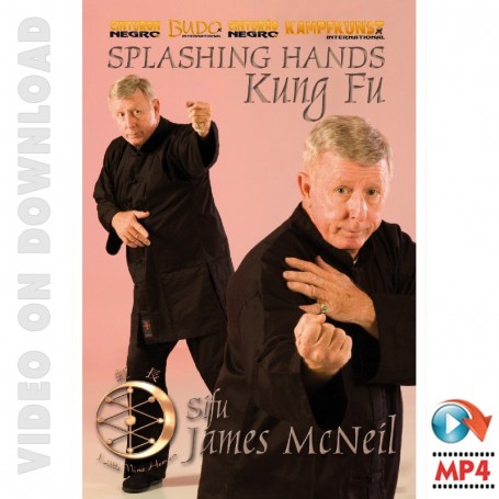 Kung Fu Splashing Hands