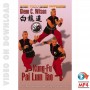 Kung Fu Pai Lum Tao