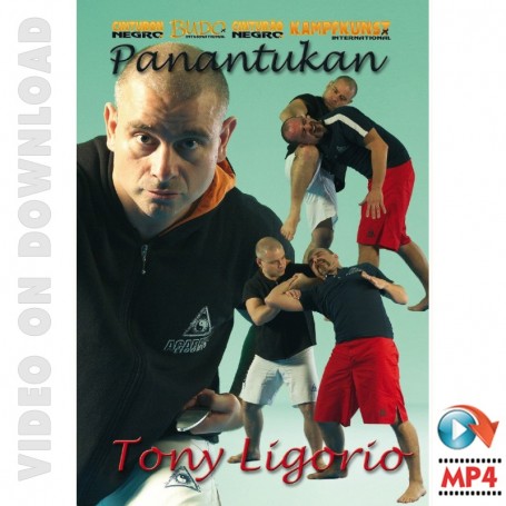 Filipino Panantukan