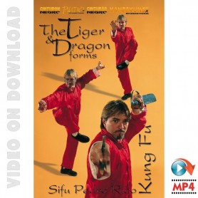 Kung Fu Choy Li Fut Tigre y Dragon