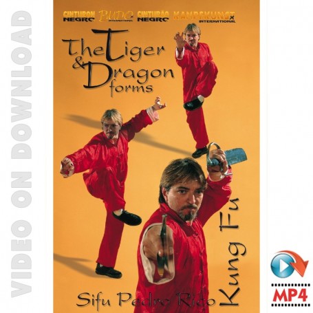Kung Fu Choy Li Fut Tigre y Dragon