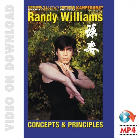 Wing Chun Kung Fu Conceptos y Principios