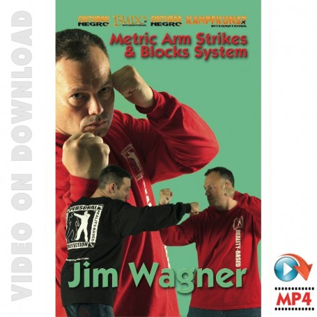 Metric Arm Strikes & Blocks System