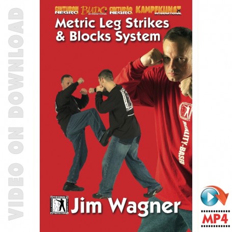 Metric Leg Strikes y Blocks System