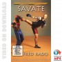 Savate French Boxing