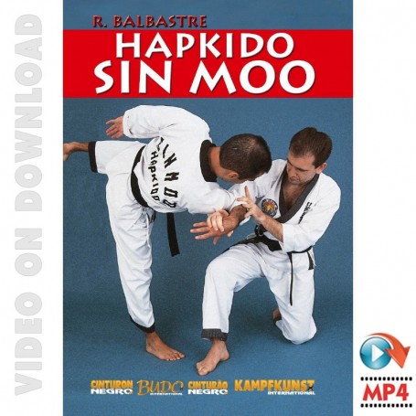 Sin Moo Hapkido