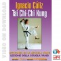 Tai Chi Yang Style & Chi Kung Vol 1
