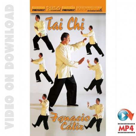 Tai Chi Yang Style y Chi Kung Vol 2