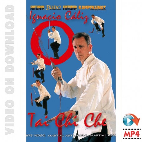 Tai Chi Che Sword