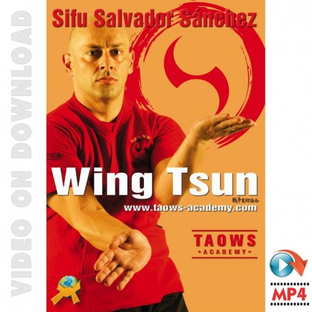 Wing Tsun TAOWS Academy