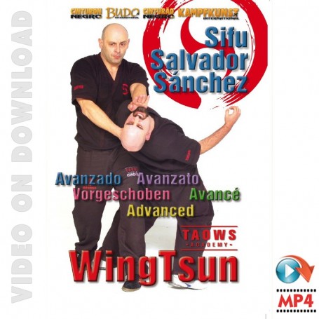 Wing Tsun Advanced TAOWS Academy