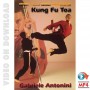 Kung Fu Toa Forms & applications Vol 2