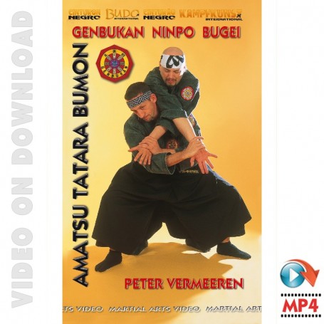 Genbukan Ninpo Bugei