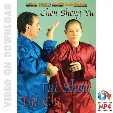 Tai Chi Chen Stil - Tui Shou