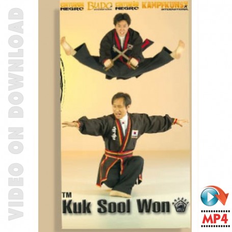 Kuk Sool Won